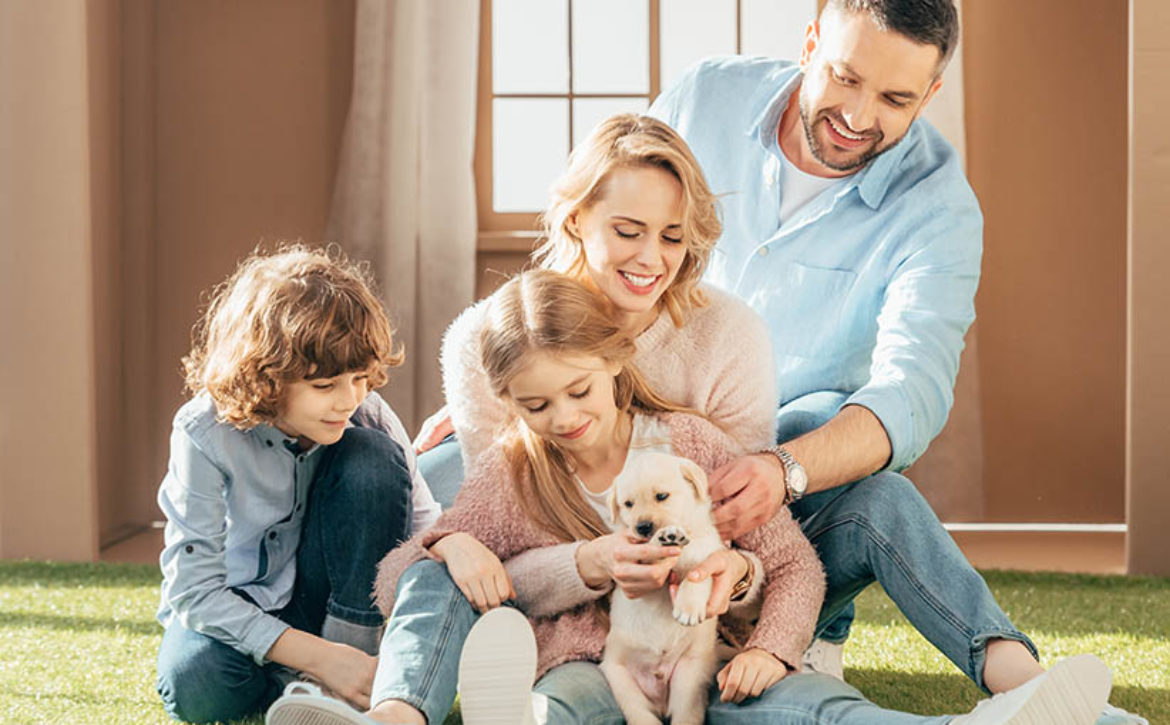 beautiful young family with yellow lab puppy on yard of cardboar
