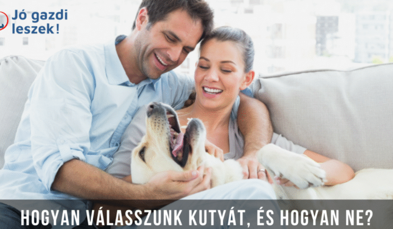 jogazdi11-1170x725 jogazdi11-1170x725