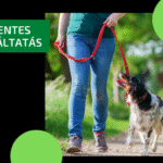 Stresszmentes kutyasétáltatás
