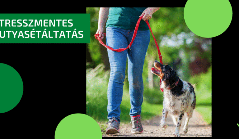 kutyasetaltatas-1170x725 kutyasetaltatas-1170x725