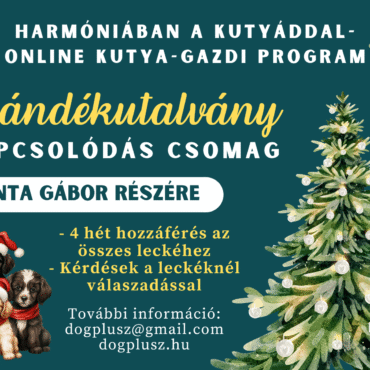 Ajándékutalvány - Online Kutya-Gazdi Program - Kapcsolódás Csomag