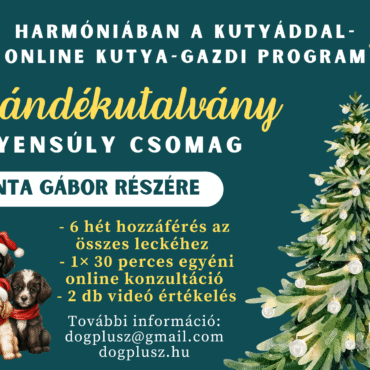 Ajándékutalvány - Online Kutya-Gazdi Program - Egyensúly Csomag