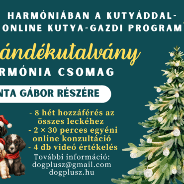 Ajándékutalvány - Online Kutya-Gazdi Program - Harmónia Csomag