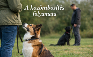 3fb53382-9cc2-4b51-9a21-58aad54ab468 3fb53382-9cc2-4b51-9a21-58aad54ab468